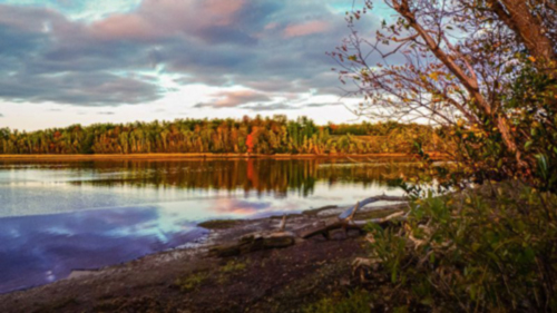 Herbst-Farben am Waughs River auf Nova Scotia - (Foto: ©Dinyar Chavda/Lonely Planet)