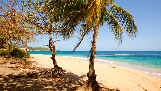 Dominica Warum Nur Kennt Kaum Jemand Dieses Karibik Paradies