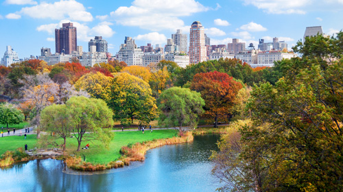 Central Park, New York - (Foto: © Songquan Deng/Shutterstock Royalty Free)